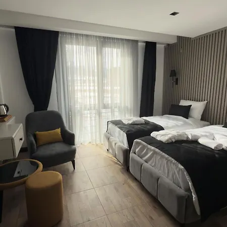Bed and Breakfast Sarikamis Ck